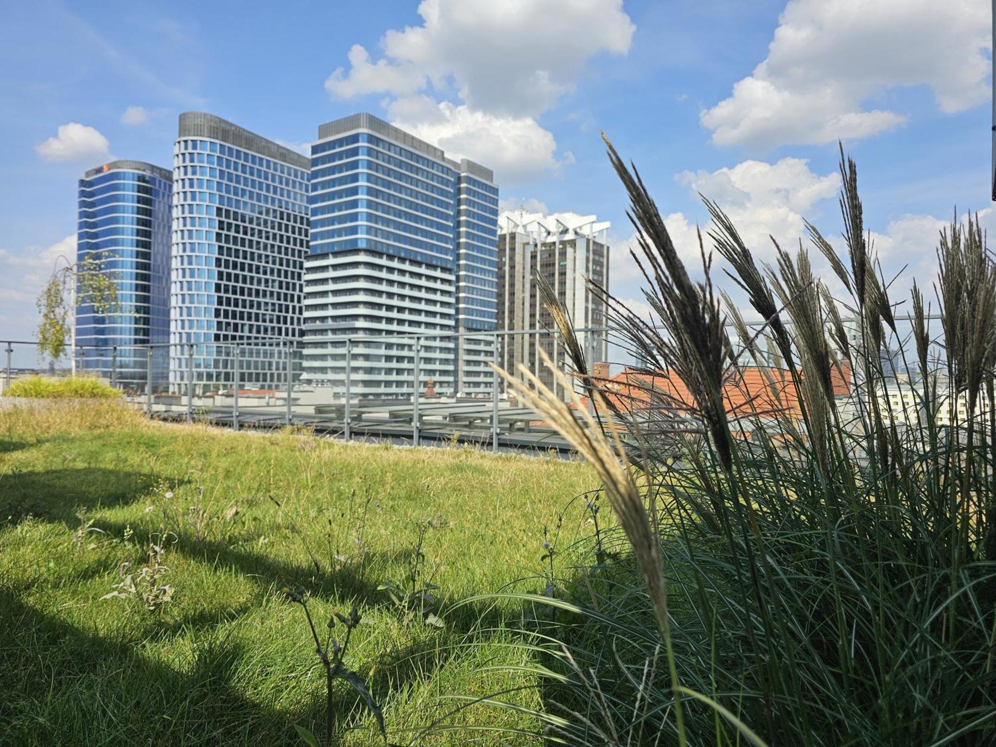 Urban Apartments Luxury Opolska 10 No 29, Free Garage, Self Check-In 卡托维兹 外观 照片